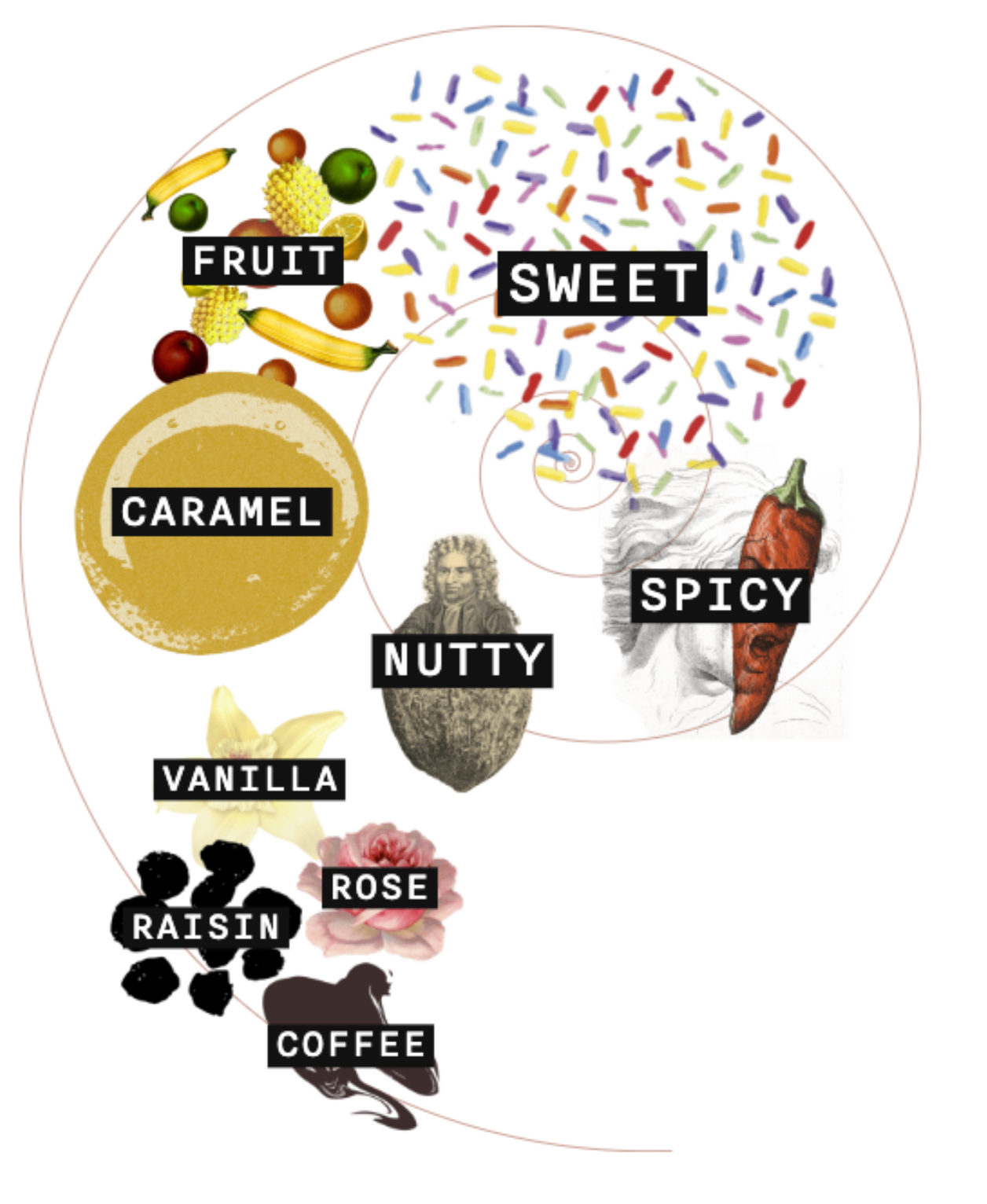 Four Roses - Single Barrel, Private Barrel bottle reference image