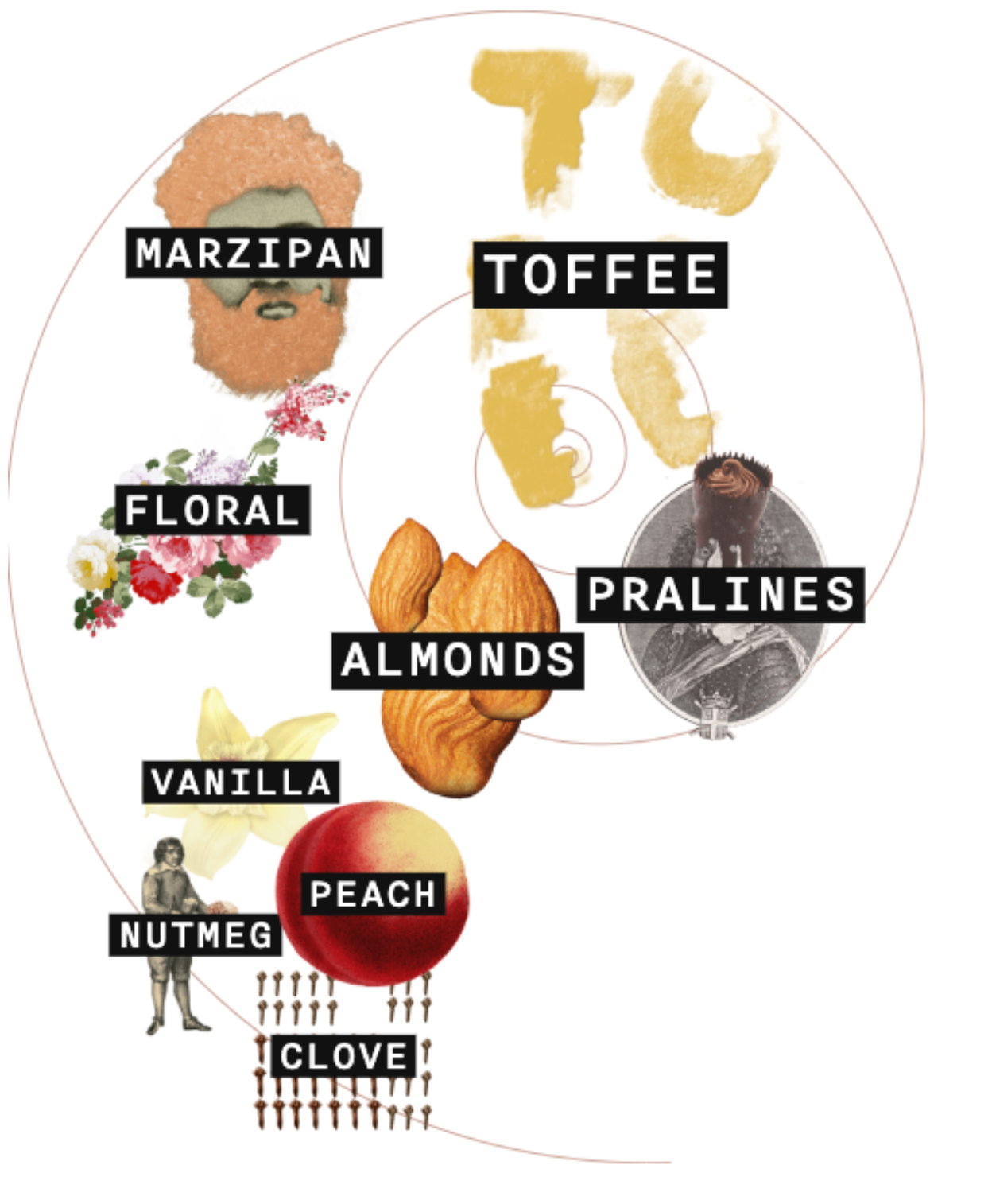 Old Elk - Straight Wheated Bourbon bottle reference image