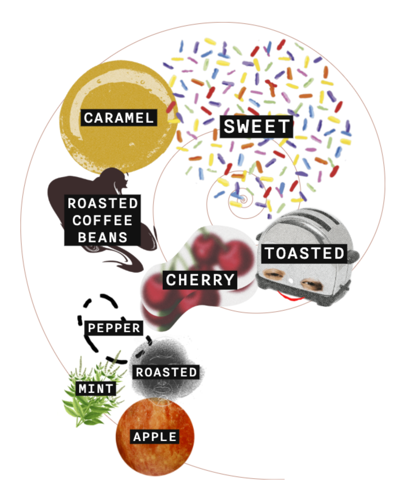 1792 - Bottled In Bond, Private Barrel (2020) bottle reference image