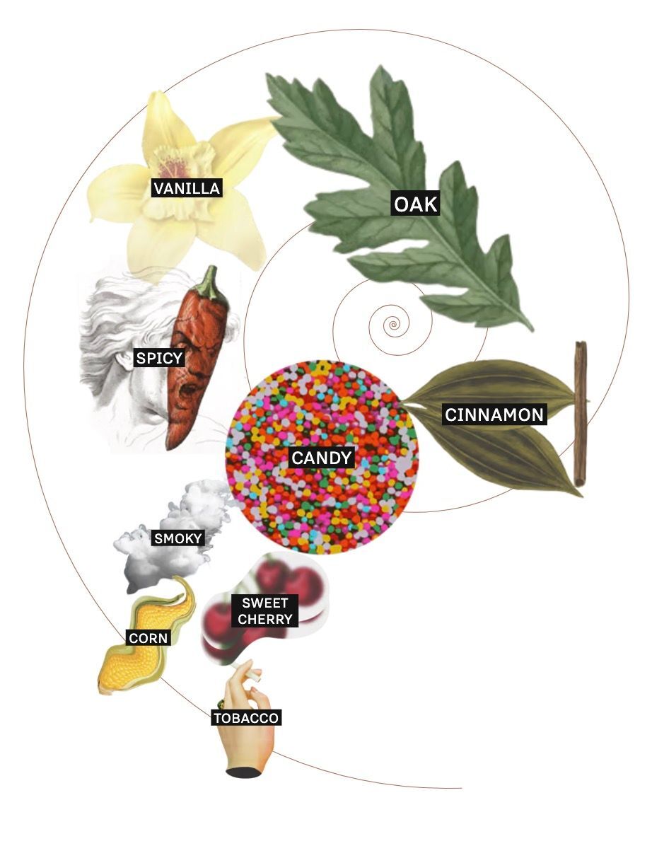 Evan Williams Vintage Single Barrel bottle reference image